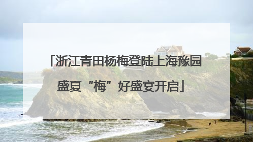 浙江青田杨梅登陆上海豫园 盛夏“梅”好盛宴开启