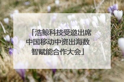 浩鲸科技受邀出席中国移动中资出海数智赋能合作大会