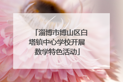 淄博市博山区白塔镇中心学校开展数学特色活动