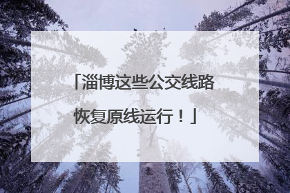 淄博这些公交线路恢复原线运行！