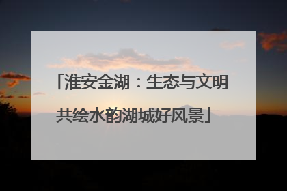 淮安金湖：生态与文明共绘水韵湖城好风景
