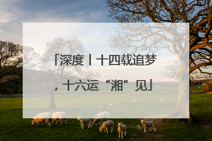 深度丨十四载追梦，十六运“湘”见