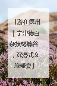 游在德州｜宁津德百杂技蟋蟀谷，沉浸式文旅盛宴
