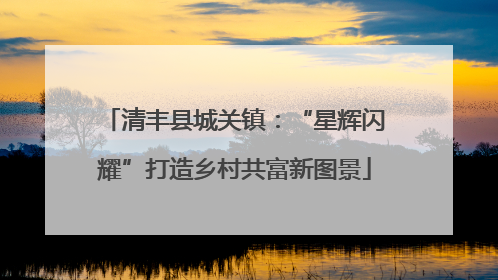 清丰县城关镇：“星辉闪耀”打造乡村共富新图景