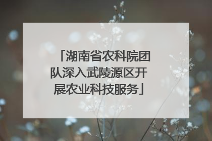 湖南省农科院团队深入武陵源区开展农业科技服务