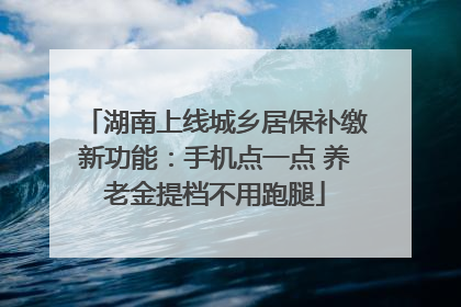 湖南上线城乡居保补缴新功能：手机点一点 养老金提档不用跑腿