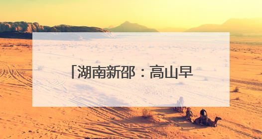 湖南新邵：高山早熟黄桃抢鲜上市 开启夏日甜蜜之旅