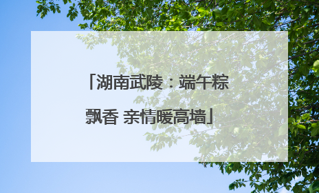 湖南武陵：端午粽飘香 亲情暖高墙