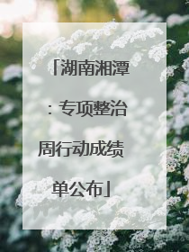 湖南湘潭：专项整治周行动成绩单公布