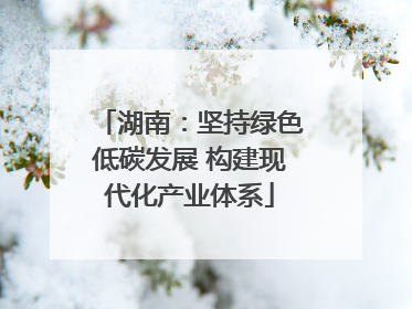 湖南：坚持绿色低碳发展 构建现代化产业体系