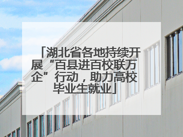 湖北省各地持续开展“百县进百校联万企”行动，助力高校毕业生就业