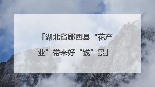 湖北省郧西县“花产业”带来好“钱”景