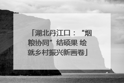 湖北丹江口：“烟粮协同”结硕果 绘就乡村振兴新画卷