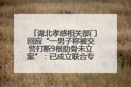 湖北孝感相关部门回应“一男子称被交警打断9根肋骨未立案”：已成立联合专班开展工作