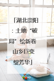 湖北崇阳：土地“破局”绘新卷 山乡巨变绽芳华