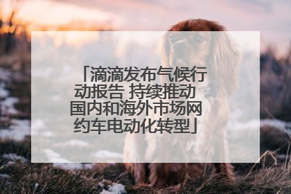滴滴发布气候行动报告 持续推动国内和海外市场网约车电动化转型