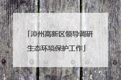 漳州高新区领导调研生态环境保护工作