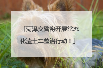 菏泽交警将开展常态化渣土车整治行动！