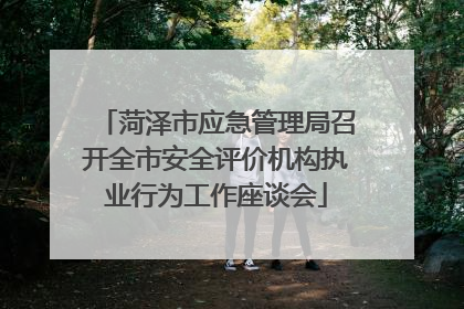 菏泽市应急管理局召开全市安全评价机构执业行为工作座谈会