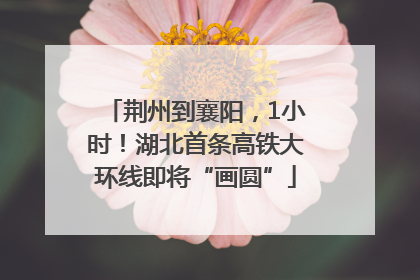 荆州到襄阳，1小时！湖北首条高铁大环线即将“画圆”
