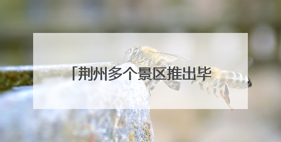 荆州多个景区推出毕业季文旅“大礼包”