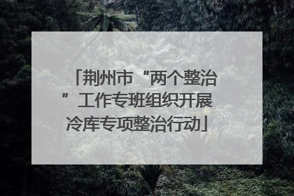 荆州市“两个整治”工作专班组织开展冷库专项整治行动