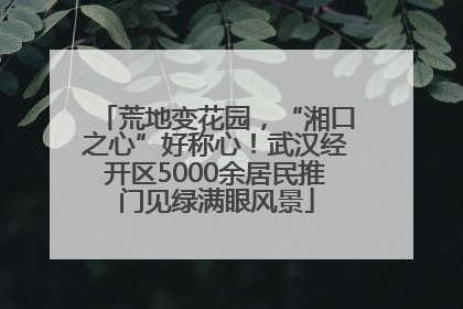荒地变花园，“湘口之心”好称心！武汉经开区5000余居民推门见绿满眼风景