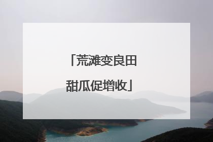 荒滩变良田 甜瓜促增收