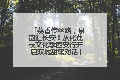 荔香传丝路，泉韵汇长安！从化荔枝文化季西安行开启双城甜蜜对话
