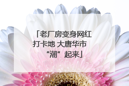 老厂房变身网红打卡地 大唐华市“潮”起来