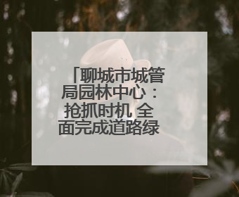 聊城市城管局园林中心：抢抓时机 全面完成道路绿化优化提升