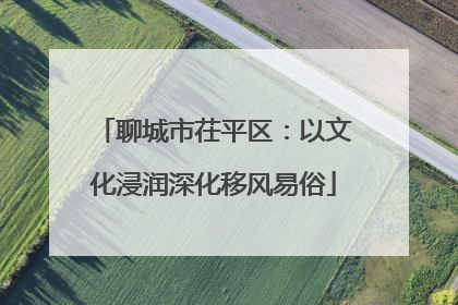 聊城市茌平区：以文化浸润深化移风易俗