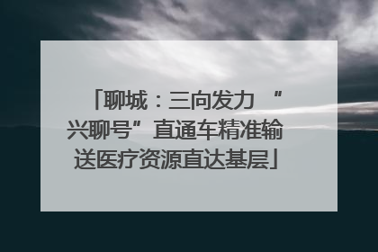 聊城：三向发力 “兴聊号”直通车精准输送医疗资源直达基层
