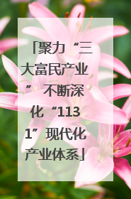 聚力“三大富民产业” 不断深化“1131”现代化产业体系