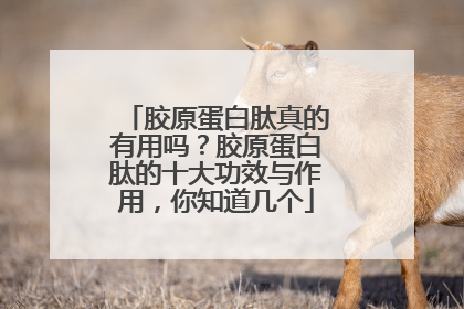 胶原蛋白肽真的有用吗？胶原蛋白肽的十大功效与作用，你知道几个