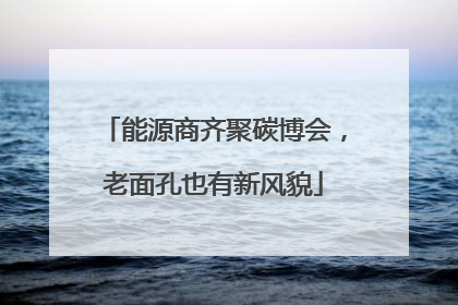 能源商齐聚碳博会，老面孔也有新风貌