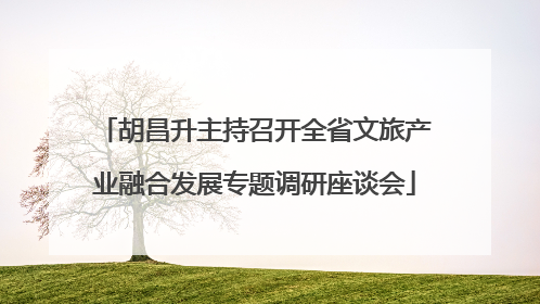 胡昌升主持召开全省文旅产业融合发展专题调研座谈会