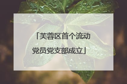 芙蓉区首个流动党员党支部成立