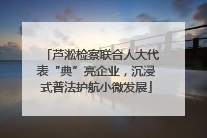 芦淞检察联合人大代表“典”亮企业，沉浸式普法护航小微发展