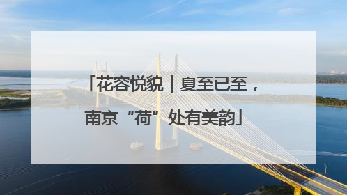 花容悦貌｜夏至已至，南京“荷”处有美韵