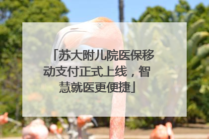 苏大附儿院医保移动支付正式上线，智慧就医更便捷