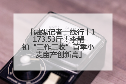 融媒记者一线行丨1173.53斤！李鹊镇“三作三收”首季小麦亩产创新高