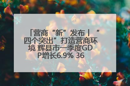 营商“新”发布丨“四个突出”打造营商环境 辉县市一季度GDP增长6.9% 36个重点项目落地