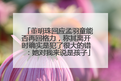 董明珠回应孟羽童能否再回格力，称其离开时确实是犯了很大的错：她对我来说是孩子