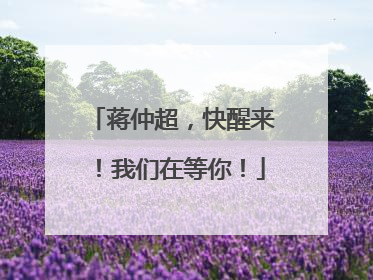 蒋仲超，快醒来！我们在等你！