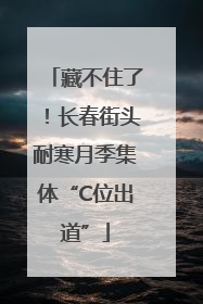 藏不住了！长春街头耐寒月季集体“C位出道”
