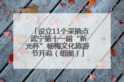 设立11个采摘点 武宁第十一届“新光杯”杨梅文化旅游节开幕（组图）