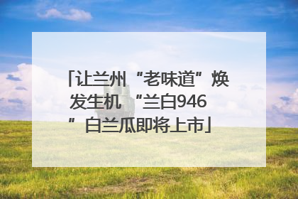 让兰州“老味道”焕发生机 “兰白946”白兰瓜即将上市