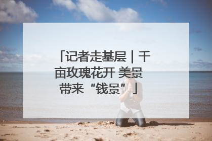 记者走基层｜千亩玫瑰花开 美景带来“钱景”