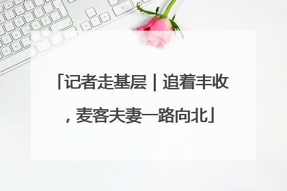 记者走基层｜追着丰收，麦客夫妻一路向北